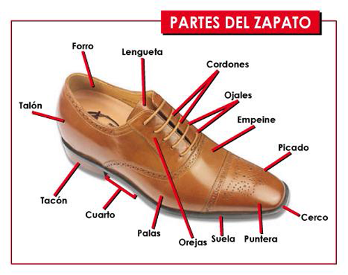 zapato